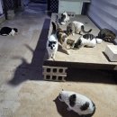 조코모텔 이미지