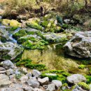 산청금서관광지 이미지