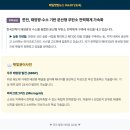 서울테크3 태양광발전소 | [행복한동행] 매일햇빛뉴스 Vol.67: 빅테크 우주 태양광 개발과 영농형 팩트체크