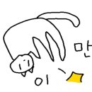 올리브영 부산벡스코점