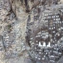 호암(주) 이미지