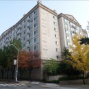 분당-264 이미지