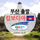 부산출발 캄보디아 앙코르왓 직항 12/29 ~ 24년 2월 전세기편 특가 이미지