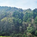 창촌마을회관 이미지