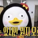 효자슈퍼 - 춘천시 | 효자슈퍼