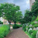 GS25은평우물골점 이미지