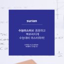 수리안