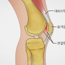 연화하가 이미지