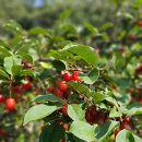 돌트미스테이 이미지