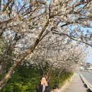 선두바다캠핑장 이미지