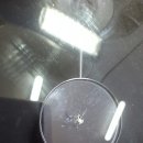 태풍카센타 이미지