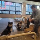 이재룡의 뭉개뭉개유치원 이미지