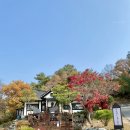 금성 제면소 | 제천 청풍호 맛집 금성제면소｜레스트리 리솜 근처 일본풍 라멘집 후기