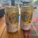 도일 | 평택 바베큐장 "포레스트도일" 내돈내산 후기 (광고X) / 애견동반 🐾