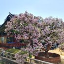 솔로몬문구 이미지