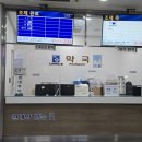 삼성약국 | 조선대학교병원 궤양성대장염 재진 진료 후기