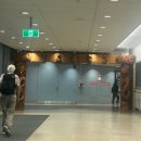 삼돈메디칼 | Day 236 - 266 : Bye Bye Auckland