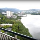 소사(SOSA)