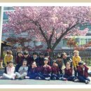 경화어린이집 이미지