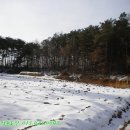 덕산 양계 이미지