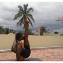 2014 Summer Korea Balu`s Ashtanga Yoga Days (English version) 이미지
