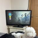 물맑음 펜션 | [경기 남양주 애견동반 펜션] 물맑음펜션