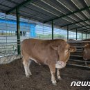 미혜농장 이미지