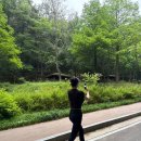 체육관 삼거리 | 천안 태조산 등산 데이트 후기