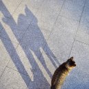 양떡음떡마을 이미지