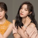 컴퍼니페이버