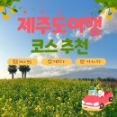 남원읍 토지식당 옆 | 겨울 제주도 여행 코스 추천 식당, 숙소, 체험 후기