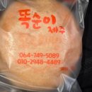 똑순이제주보리빵