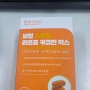 보령식품 | 보령 수용성 리포좀 커큐민 맥스 후기,강황가루