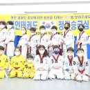 용인대석사백인태권도장 이미지