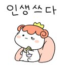 대구짬뽕신 - 안동시 광명로 155 | 대구짬뽕신