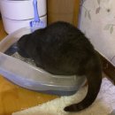 대경연합동물영상센터 이미지