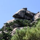 비봉슈퍼 이미지