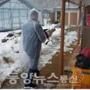 동양인력 이미지