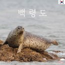 진촌리현무암(하늬해변) 공중화장실 | 겨울 백령도 여행 명소 주의사항 바다에서 물범 보고 사곶냉면 먹고 콩돌해변 가고