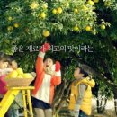 오뚜기 PC 이미지