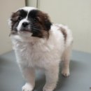 세븐일레븐 군청점 이미지