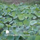 이레산장 이미지