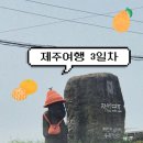 씨유 고기유원지점 | [제주] 마지막 여름, 제주 ③