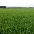 이삭농장 이미지