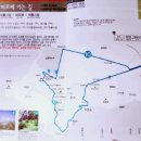 머르메가는길 이미지