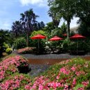 제주카사블랑카 이미지