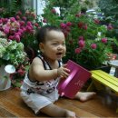 은평-041 이미지