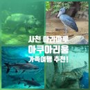 추억이머무르는곳 | 사천 가볼만한곳 아라마루 아쿠아리움 하마 하식이 만나고 온 후기 (입장료·주차·공연시간)