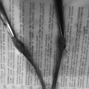 용인도담동물병원 이미지