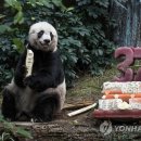 자자(佳佳) 이미지